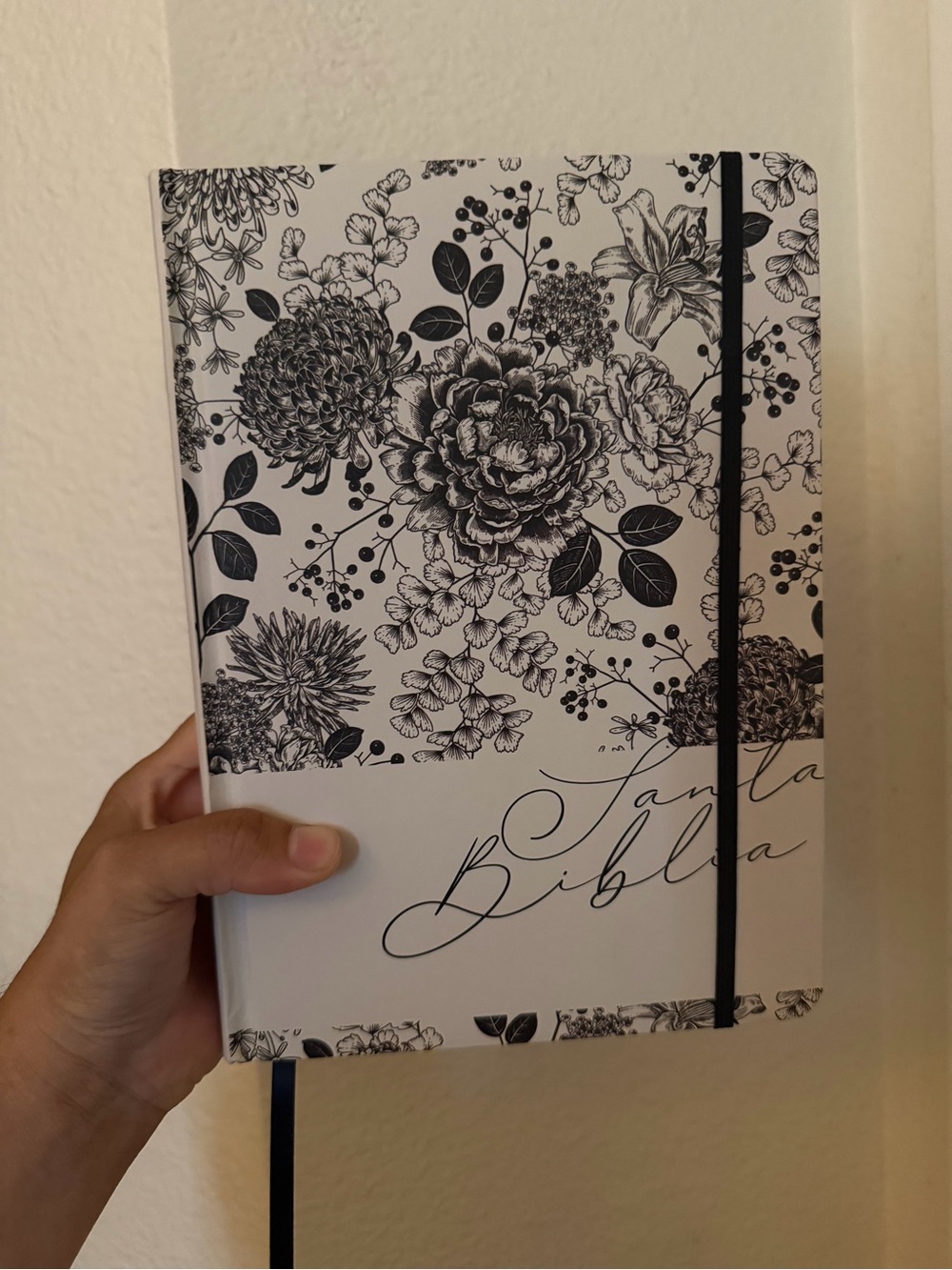 Santa Biblia - Reina Valera